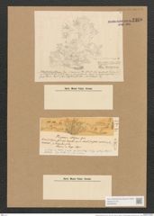 Berkeleya obtusa (Grev.) Grun. (de-Toni-Nr.: Genus 21, Species 1219) Zeichnungen Sammlung Grunow Nr. 2360 (NHMW-BOT-W0369493)